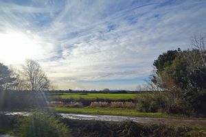 View from Bedrooms- click for photo gallery